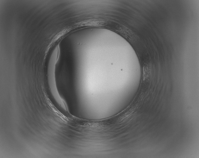 X0000060240349200511241339