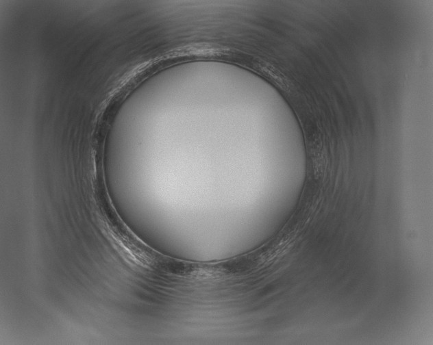 X0000060240350200511241339