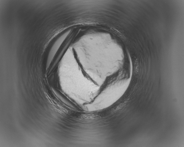 X0000060240351200511241339
