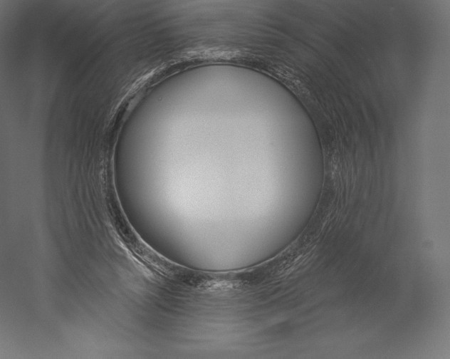 X0000060240352200511241339