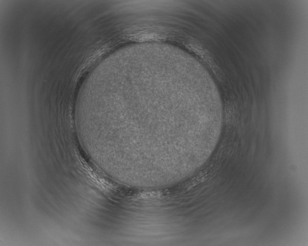 X0000060240353200511241339