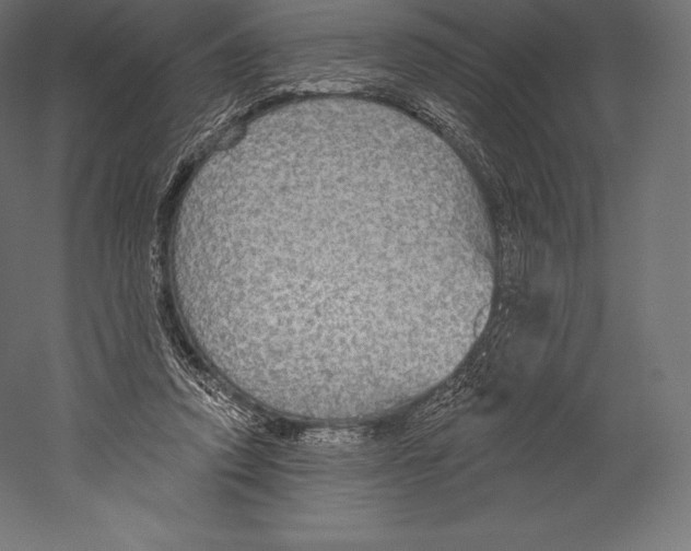 X0000060240354200511241339