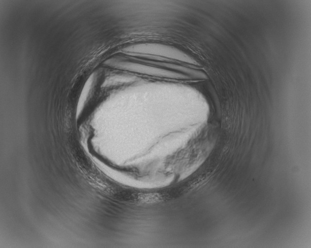 X0000060240355200511241339