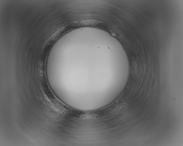 X0000060240356200511241339