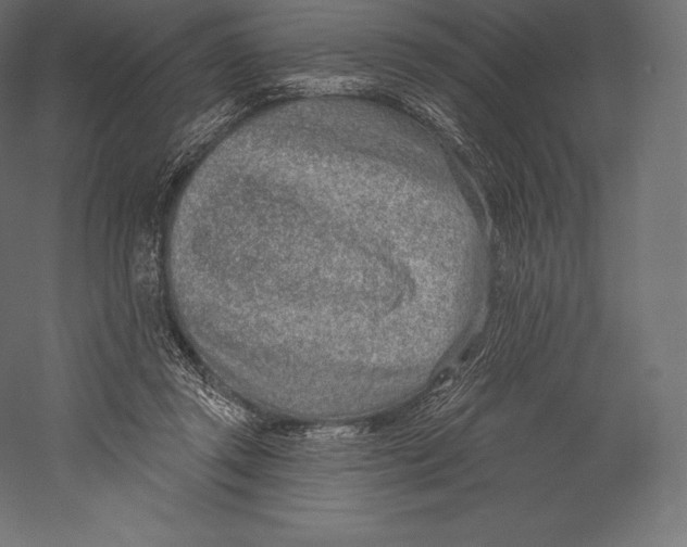 X0000060240357200511241340
