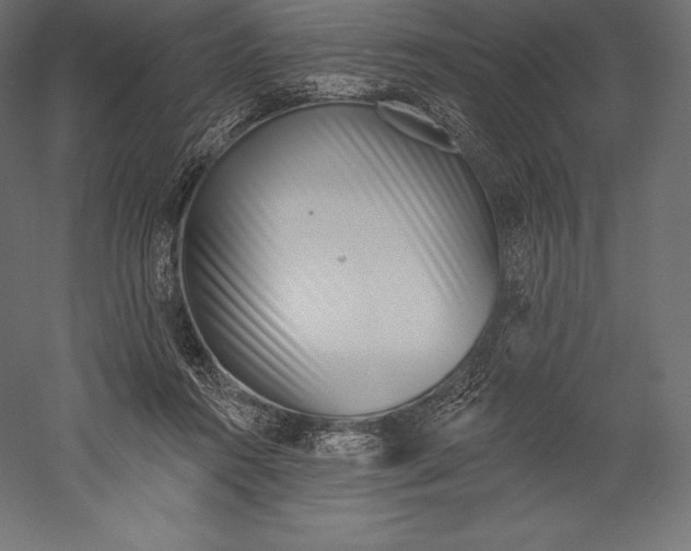 X0000060240360200511241340