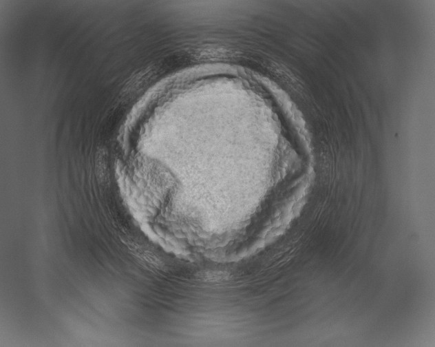 X0000060240361200511241340