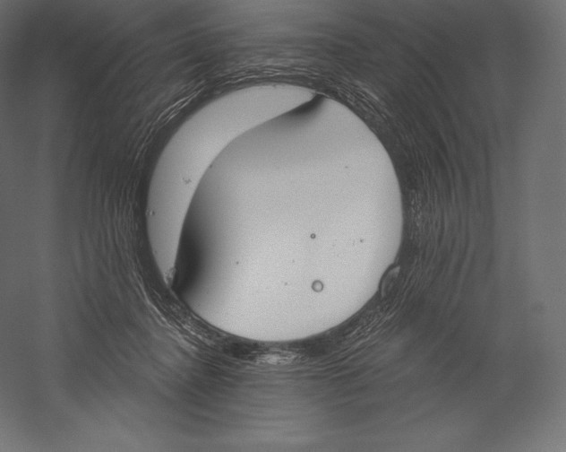X0000060240364200511241340