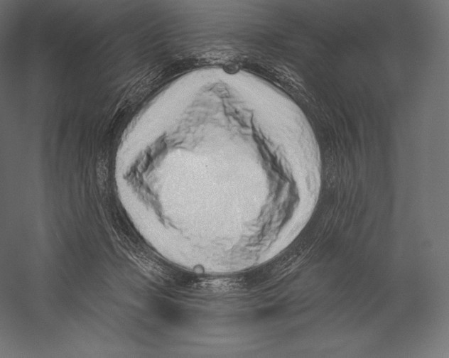 X0000060240365200511241340