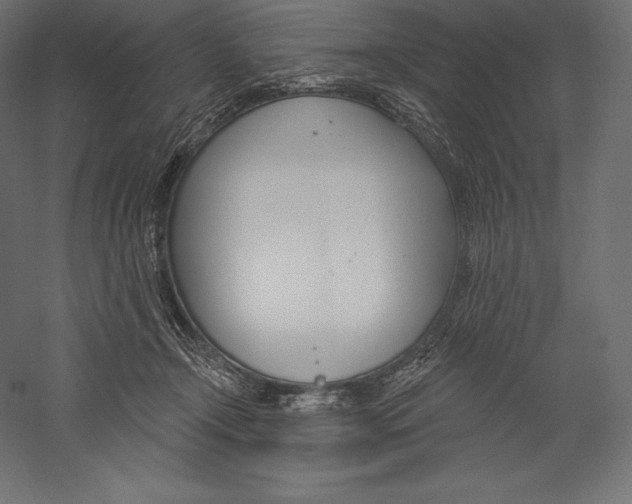 X0000060240366200511241340