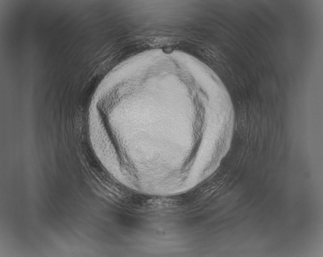 X0000060240367200511241340