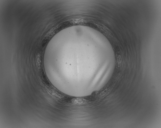X0000060240372200511241340