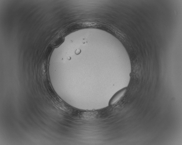 X0000060240373200511241340