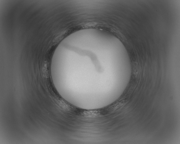 X0000060240378200511241340