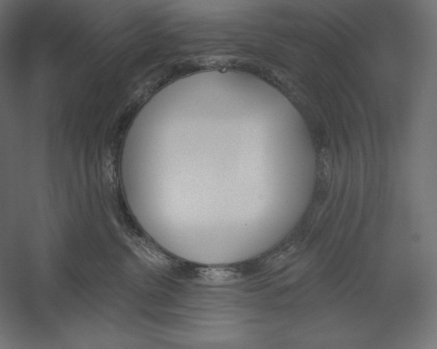 X0000060240380200511241340
