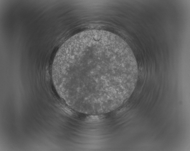 X0000060240381200511241340