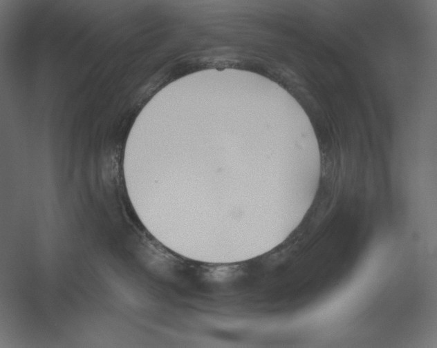 X0000060240382200511241340