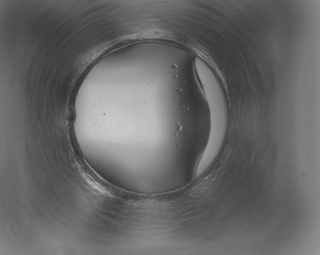 X0000060240389200511241339