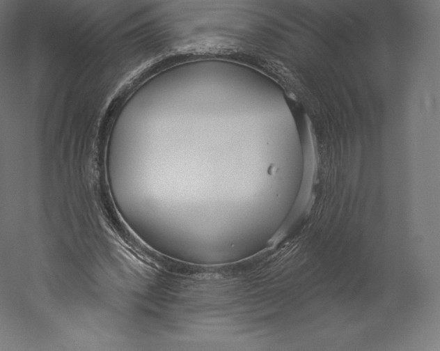 X0000060240392200511241339