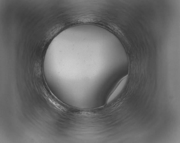 X0000060240393200511241339