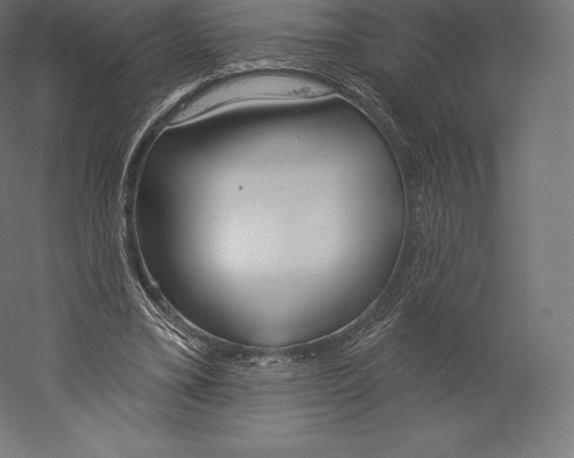 X0000060240395200511241339