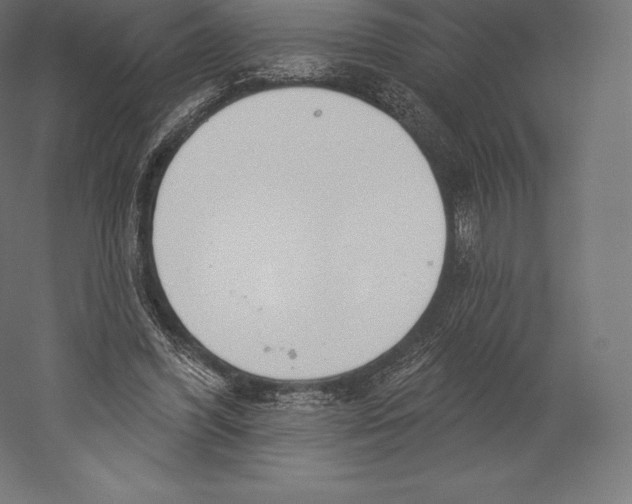 X0000060240396200511241339