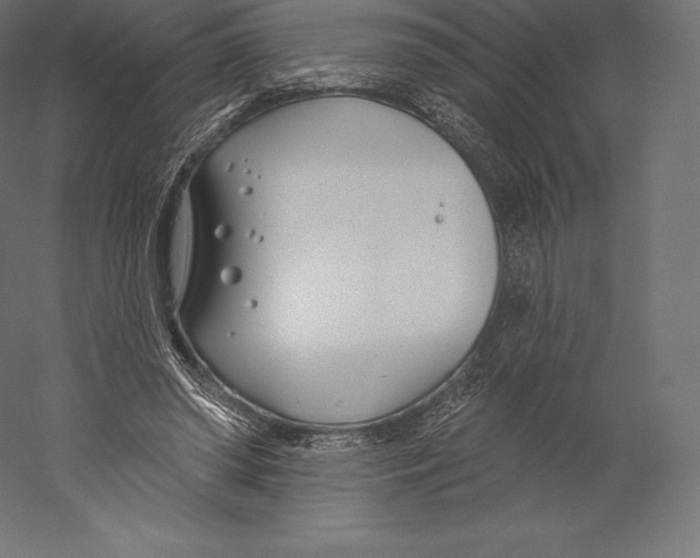 X0000060240398200511241339