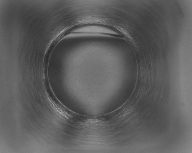 X0000060240399200511241339