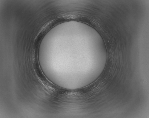 X0000060240400200511241339