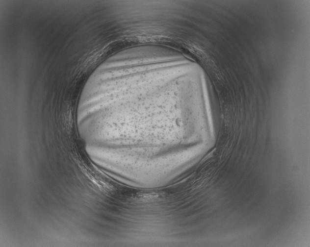 X0000060240405200511241339