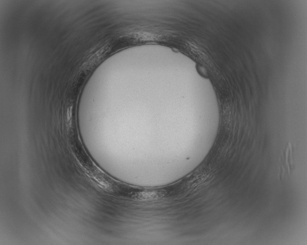 X0000060240406200511241339