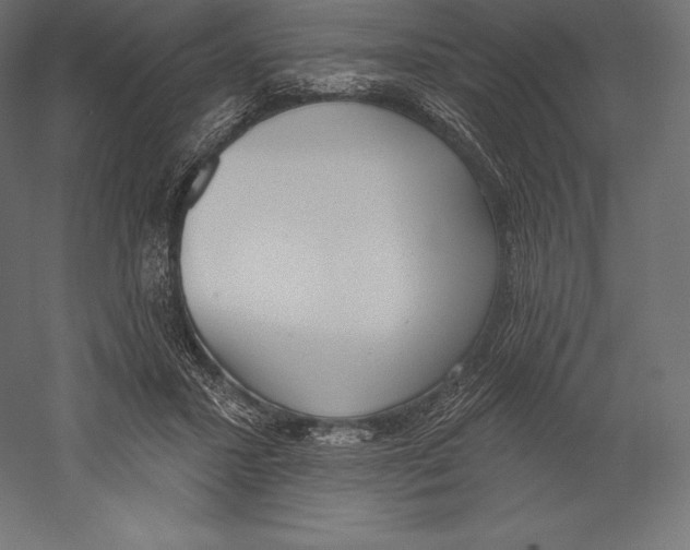 X0000060240407200511241339