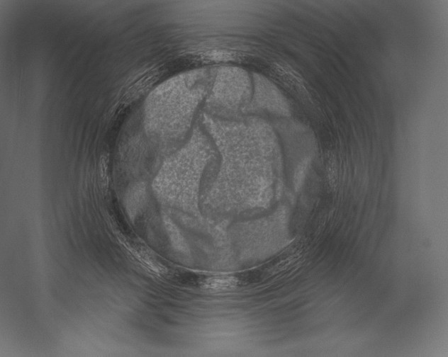 X0000060240410200511241339
