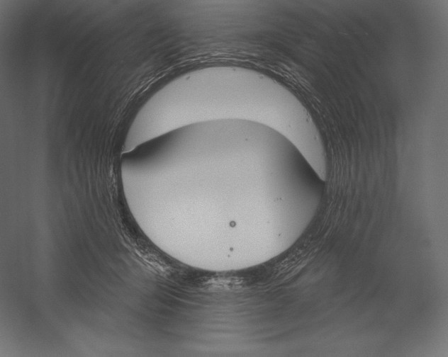 X0000060240415200511241339