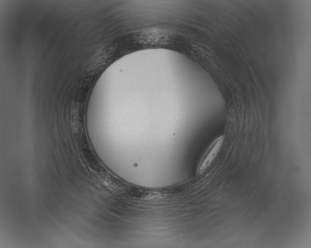 X0000060240416200511241339
