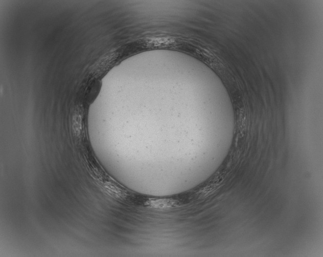 X0000060240417200511241339