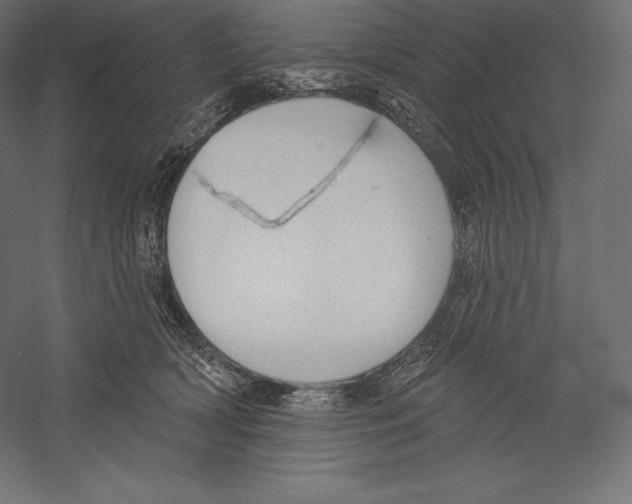 X0000060240418200511241339
