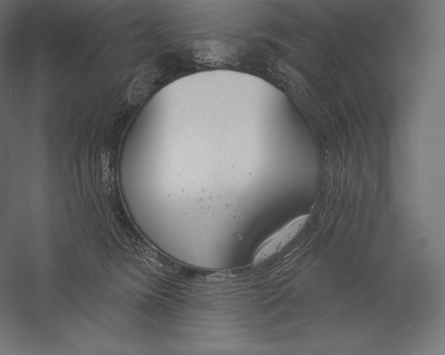 X0000060240420200511241339