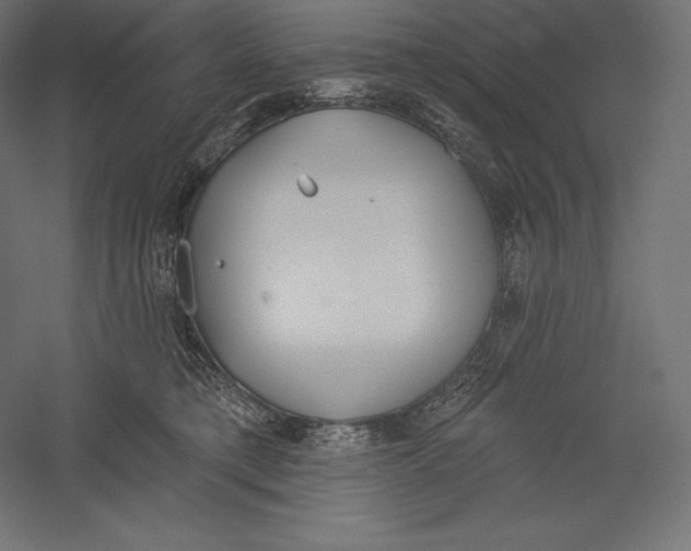 X0000060240421200511241339