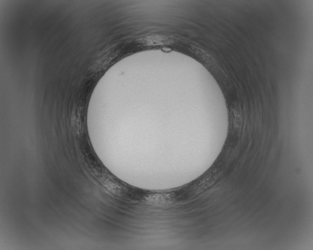 X0000060240422200511241339