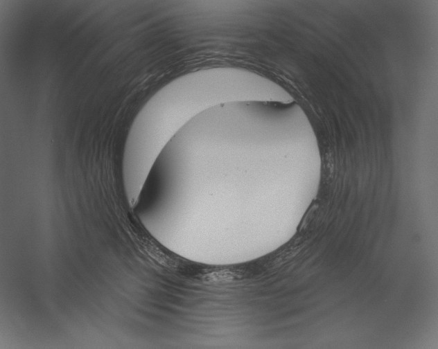 X0000060240423200511241338