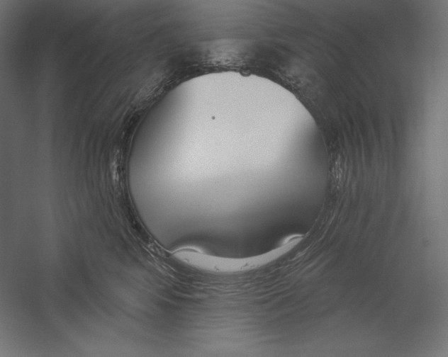 X0000060240424200511241338