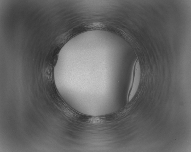 X0000060240425200511241338