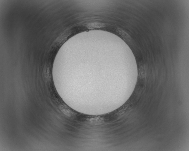 X0000060240426200511241338