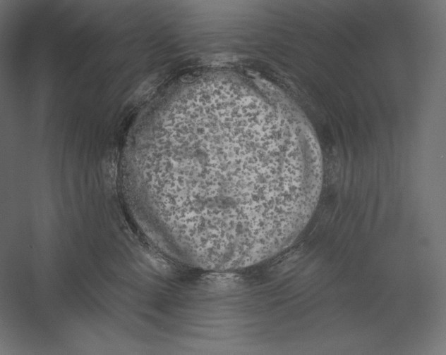 X0000060240427200511241338