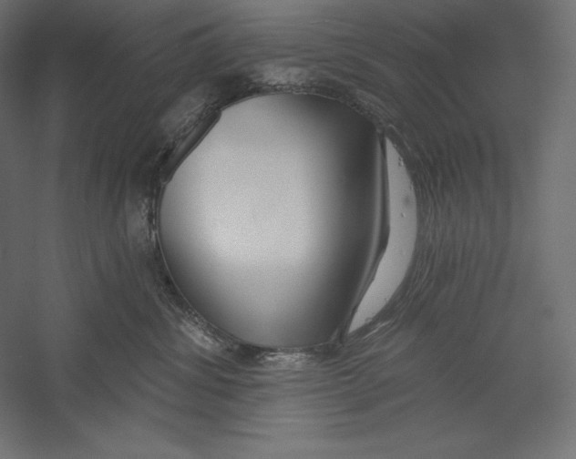 X0000060240428200511241338