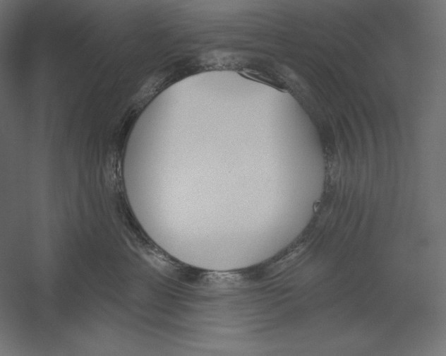 X0000060240429200511241338