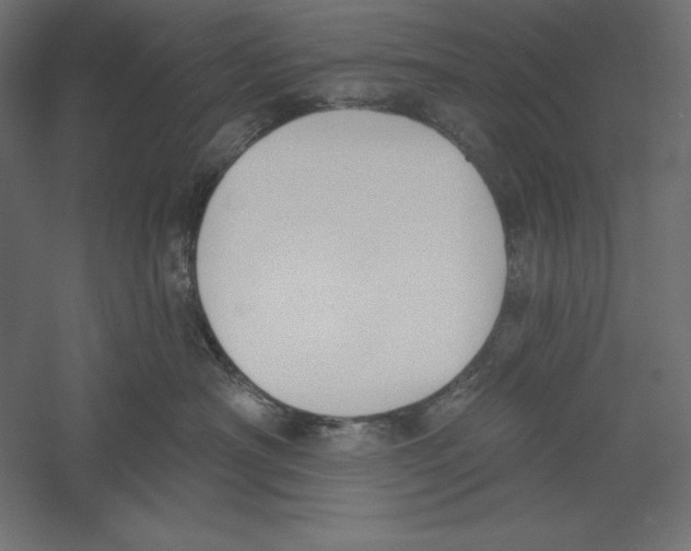 X0000060240430200511241338