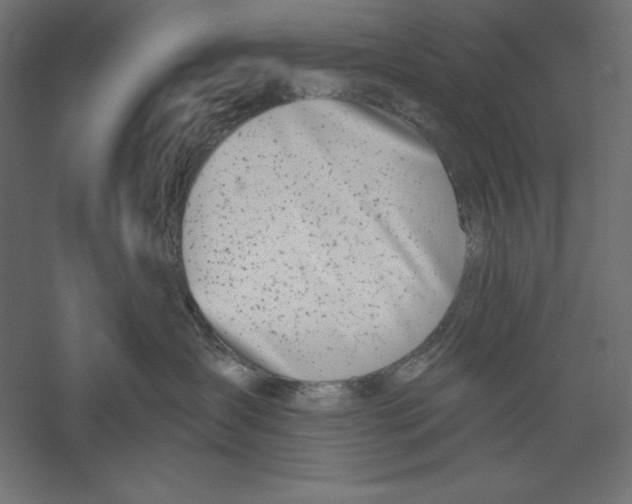 X0000060240431200511241338