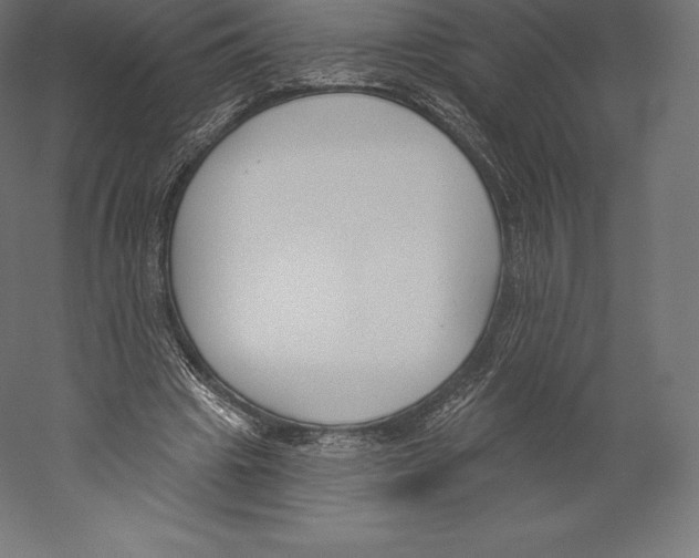 X0000060240441200511241338